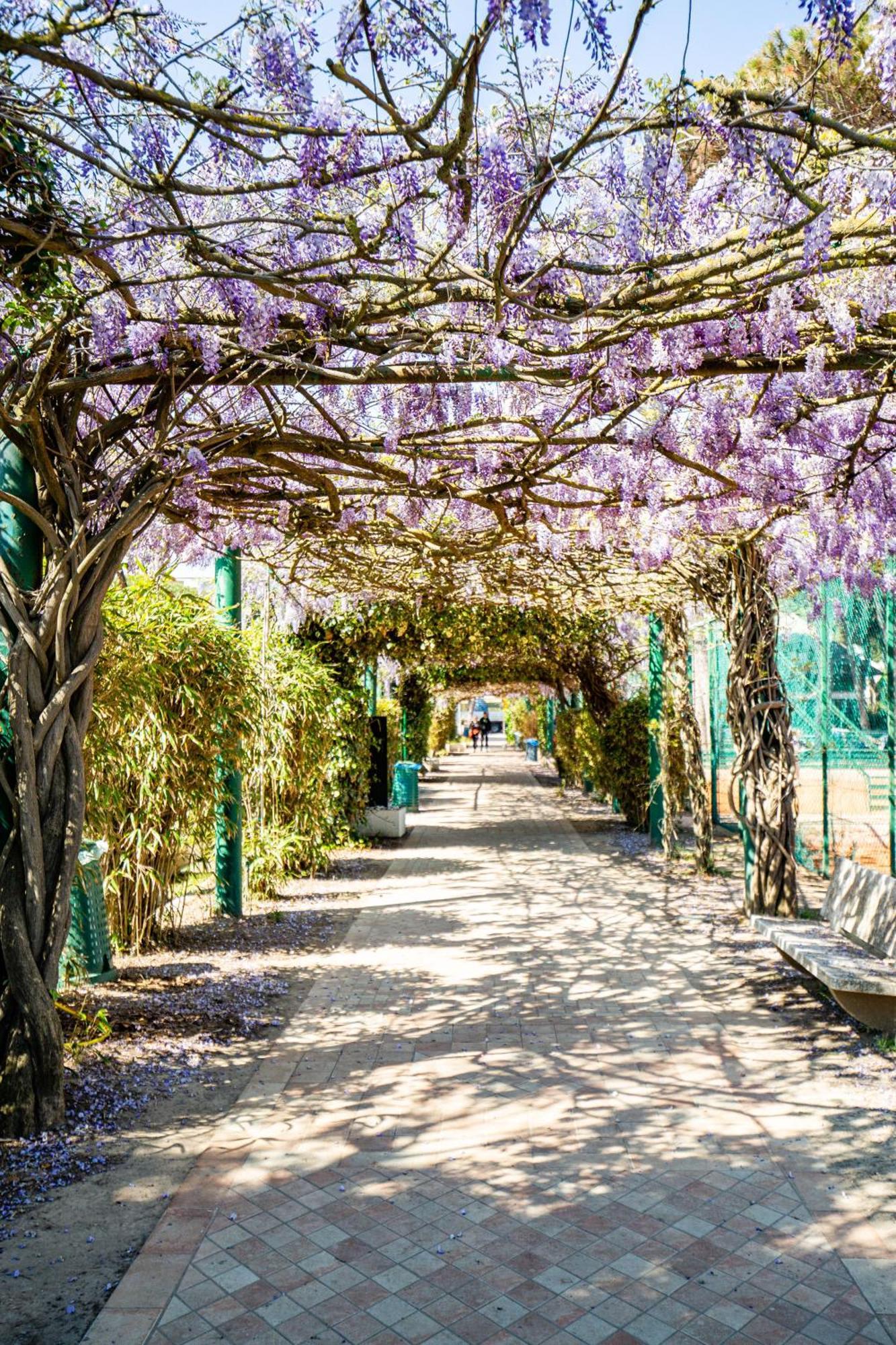 Marepineta Resort Milano Marittima Exterior foto